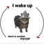 _____PSYOP price logo