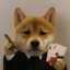 ____CASINU price logo