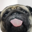 ____PUG price logo