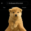 ____PUPPY price logo