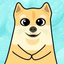 ____SHIBU price logo
