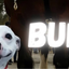 ___BUDDY price logo