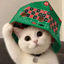 ___DCAT price logo