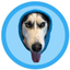 ___DIH price logo