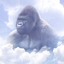 ___HARAMBE price logo