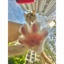 ___POV price logo