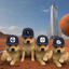 ___PUPS price logo