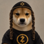 ___ZINU price logo