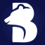 __BAIR price logo