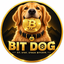 __BITDOG price logo