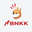 __BNKK price logo