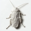 __BUG price logo