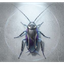 __COCKROACH price logo