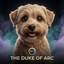__DUKE price logo