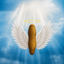 __HOLYSHIT price logo