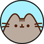 __PUSHEEN price logo