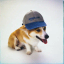 __RUFUS price logo