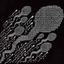 __SPERM price logo