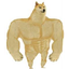 __SWOLE price logo