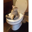 __WCAT price logo