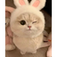 __WINK price logo