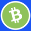 Logo BITCOIN CASH ON BASE