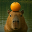 _CAPYBARA price logo