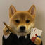 _CASINU price logo