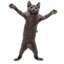_CATNIP price logo