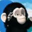 _CHIMP price logo
