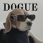 _DOGUE price logo
