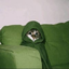 _HOODCAT price logo