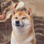 _INUGAMI price logo