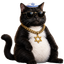_JEWCAT price logo