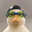 _NASDUCK price logo