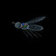 _NEUROFLY price logo