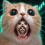 _PERPCAT price logo