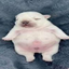 _PIBBLE price logo