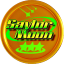 _SAYLOR price logo
