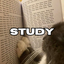 _STUDY price logo