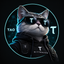 _TAOCAT price logo