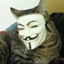_VCAT price logo