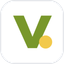 _VPAY price logo