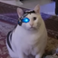 AIHUHCAT price logo