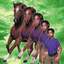 ANIMORPHS price logo