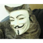 ANONCAT price logo