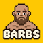 BARBS price logo