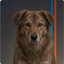BEANDOG price logo