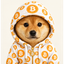 BITCOINU price logo
