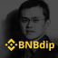 BNBDIP price logo